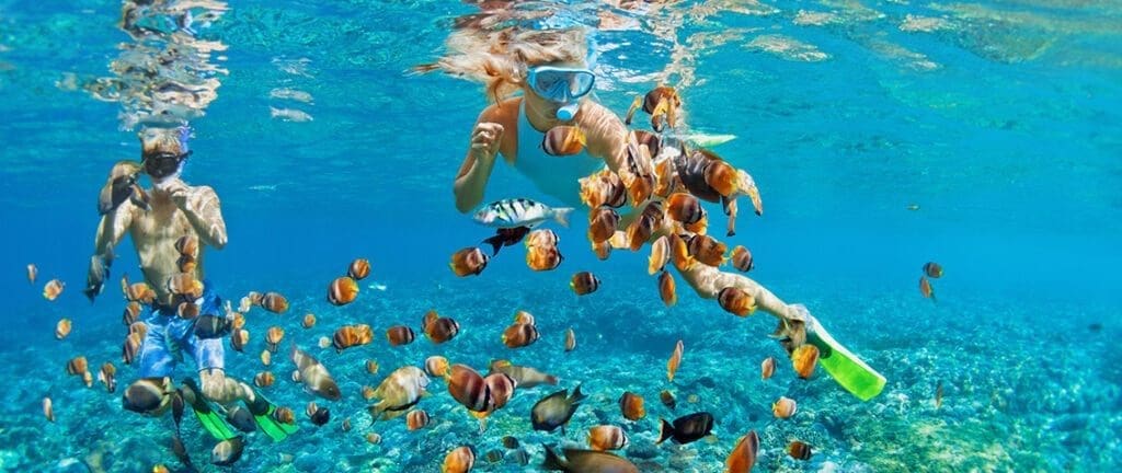 Snorkelling in the Bahamas