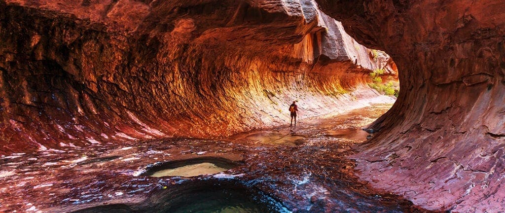 Canyon in Zion