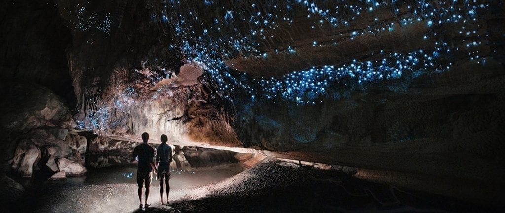 Under a glow-worm sky - New Zealand