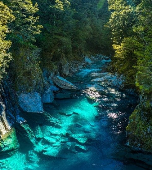 Travel to New Zealand