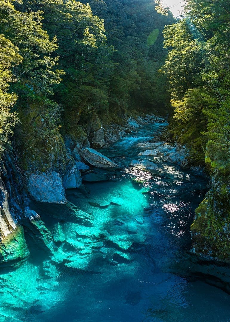 Travel to New Zealand