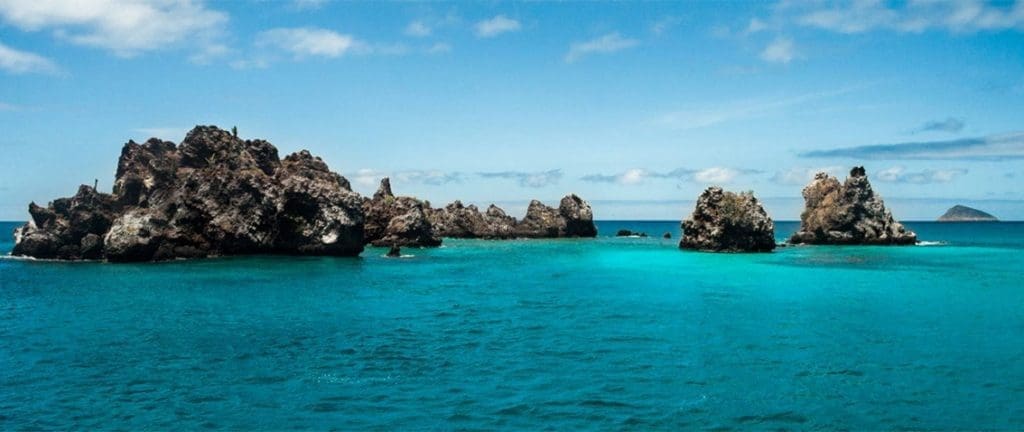 Snorkeling in Crown, Galapagos