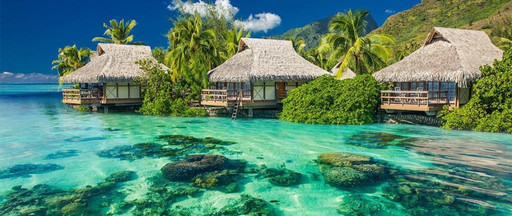 Snorkeling in The Maldives