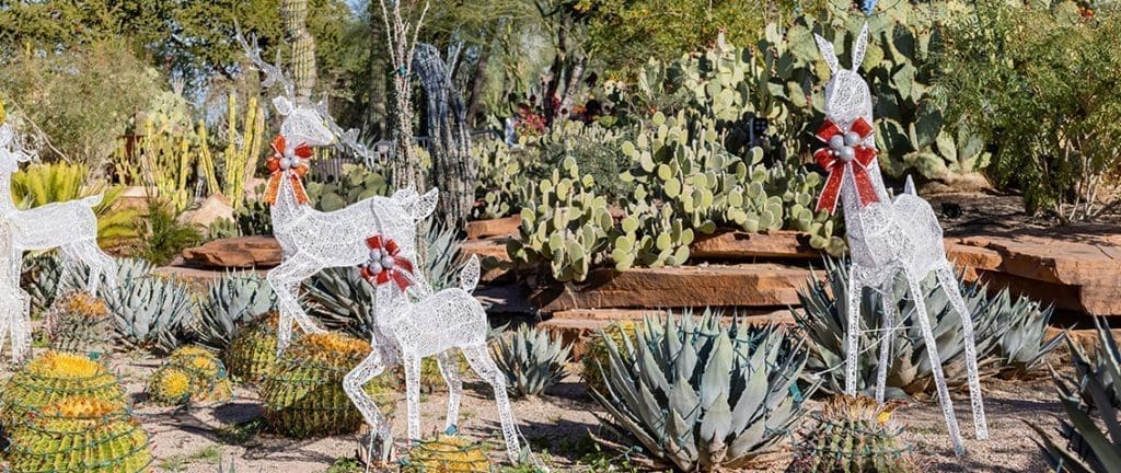 Ethel M Chocolates & Cactus Garden
