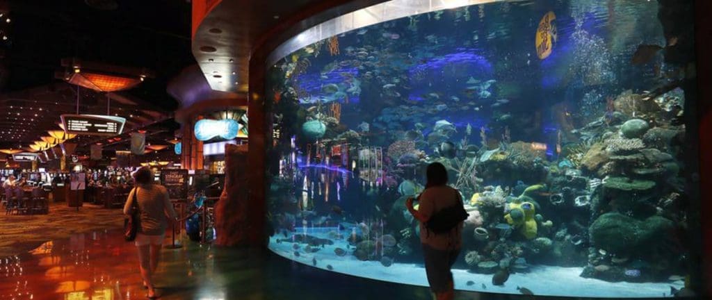 People walking in front of the Aquarium at the Silverton Casino Hotel, Las Vegas