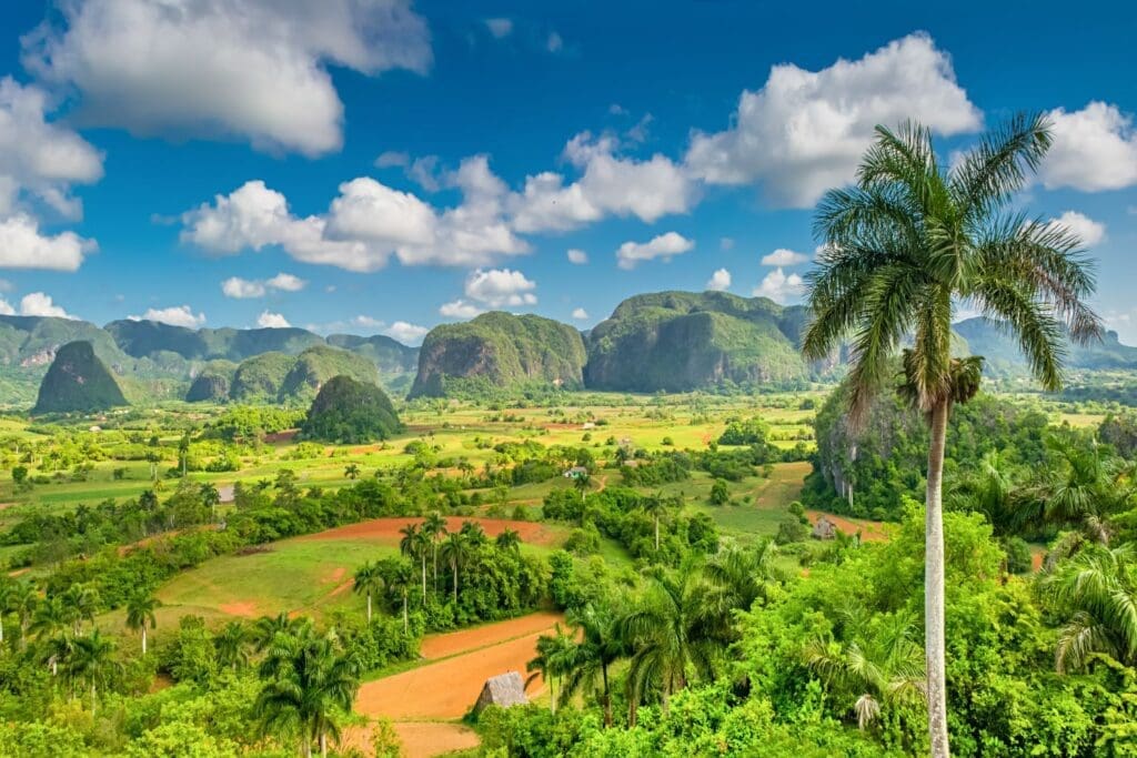 Viñales Valley with the Sierra de los Organos mountains in the background.