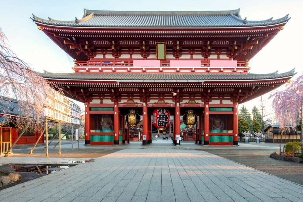 Sensoji temple gate with cherry blossom tree during spring