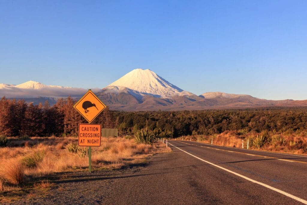 Kiwi road sign and volcano Mt. Ngauruhoe at sunset, Tongariro National Park, New Zealand